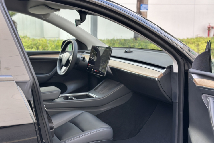 Tesla Model Y 2021 car image #13