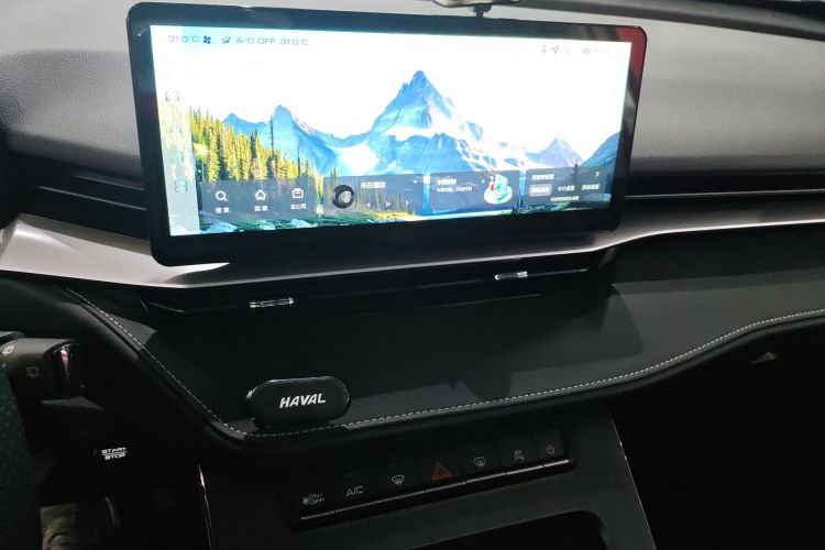 Haval H6 2022 car image #13