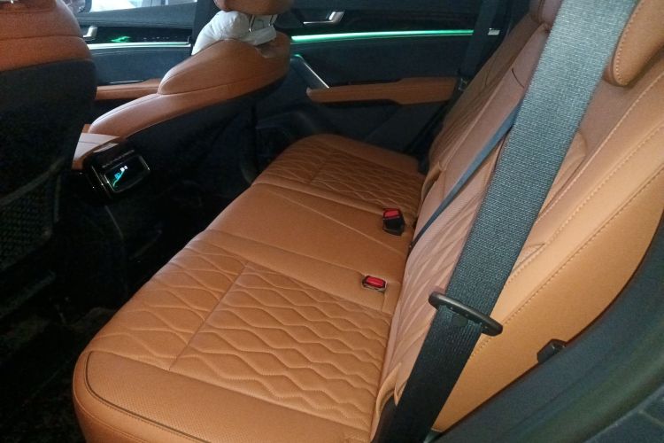 BYD Tang New Energy 2023 car image #13