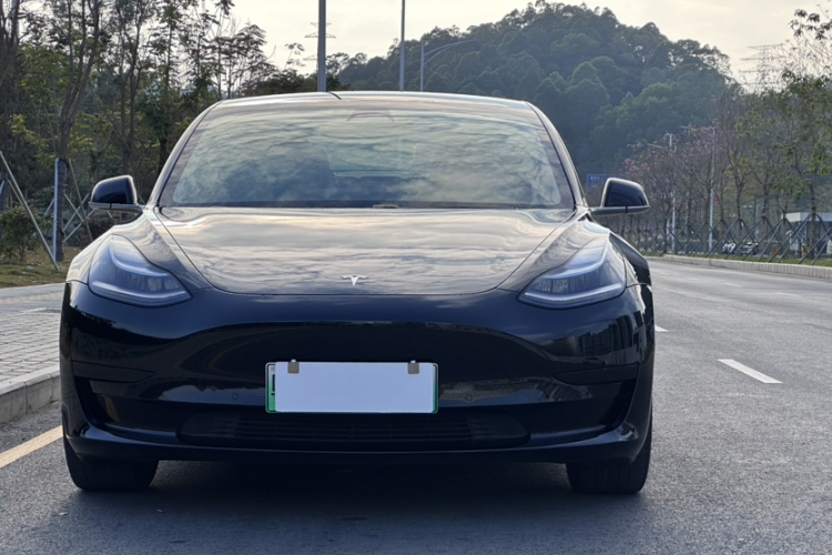 Tesla Model 3 2020 car image #13
