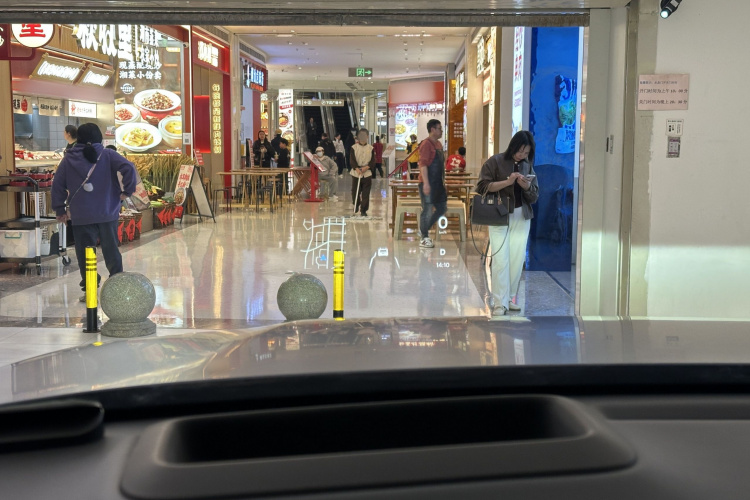 Li L9 2023 imagen de coche #13