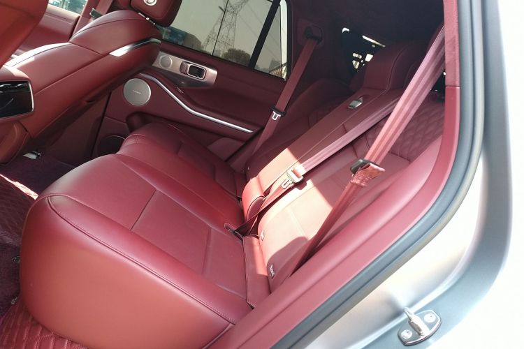 Tank 700 New Energy 2024 car image #13