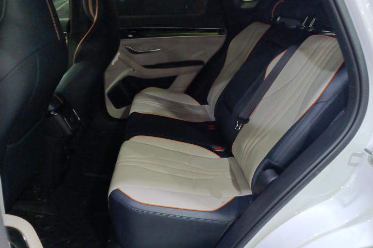 BYD Song Plus New Energy 2021 #13 BYD Song Plus New Energy 2021 car image #13