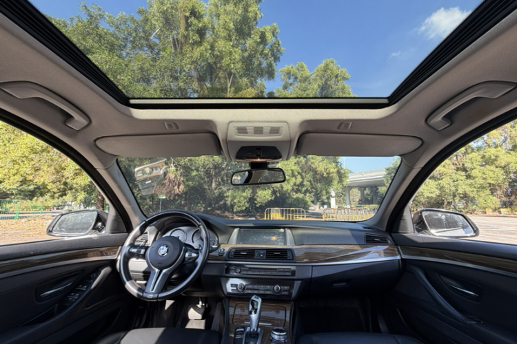 BMW 5 Series 2014 car image #13