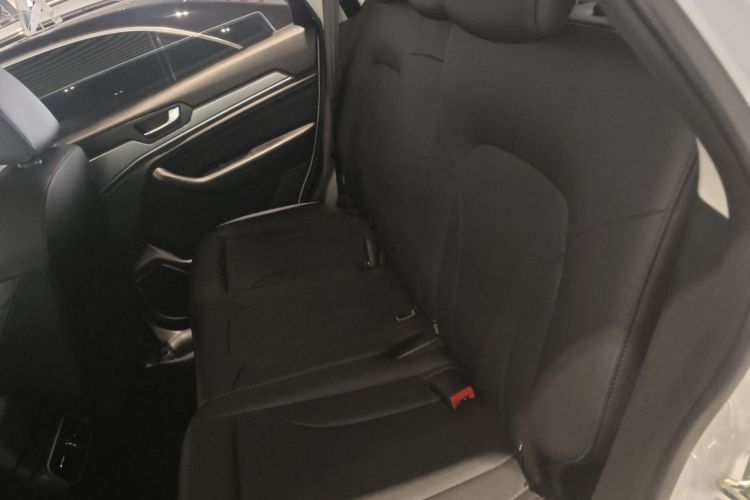 Haval H6 2020 car image #13