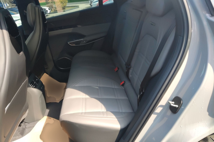 HongQi TianGong 08 2025 car image #13