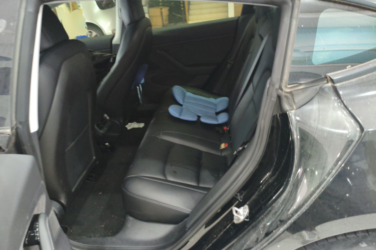 特斯拉 Model 3(进口) 2019 汽车图片 #13