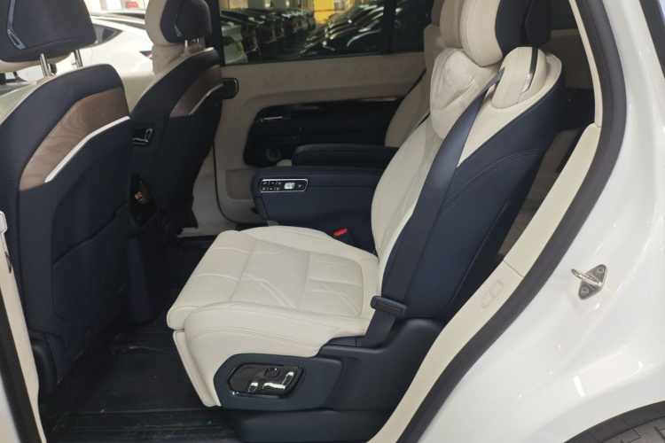 Zeekr 9X 2025 car image #13