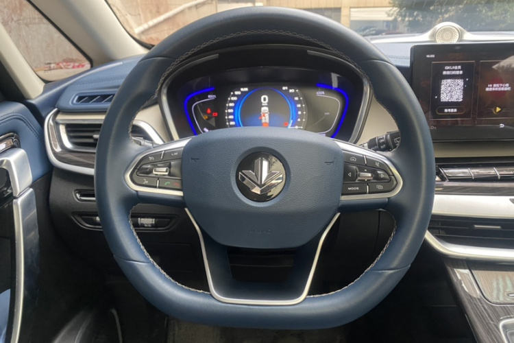 睿蓝汽车 枫叶80v PRO 2023 汽车图片 #13