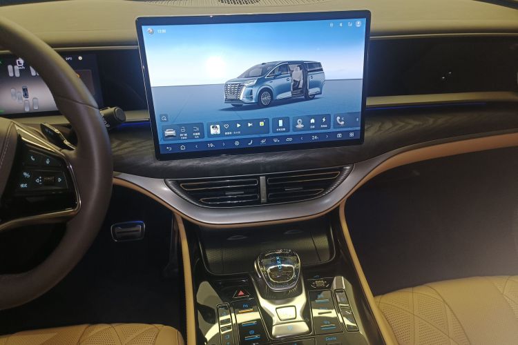 Denza D9 2025 immagine di auto #13