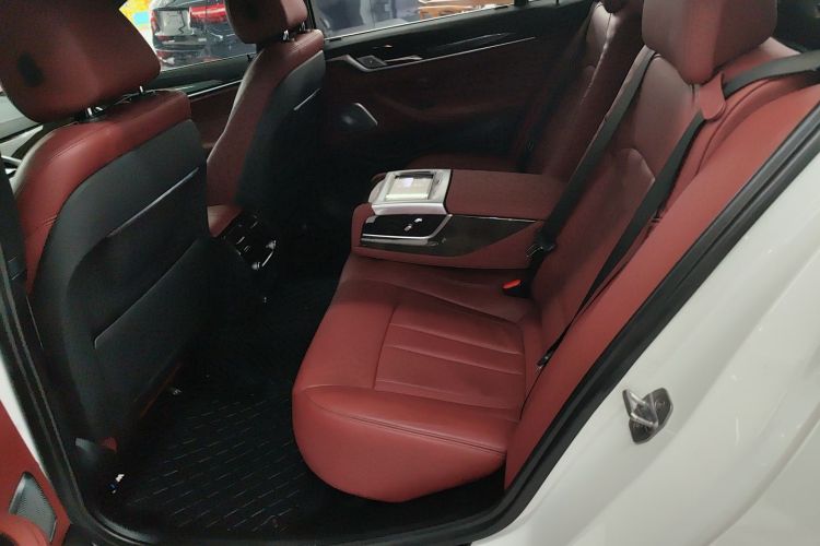 BMW 5 Series 2020 car image #13