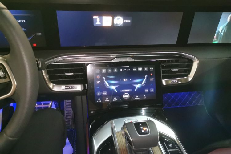 HongQi E-HS9 2023 car image #13