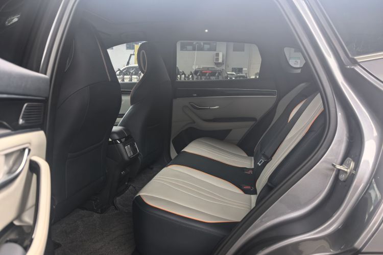 BYD Song Plus New Energy 2022 car image #13