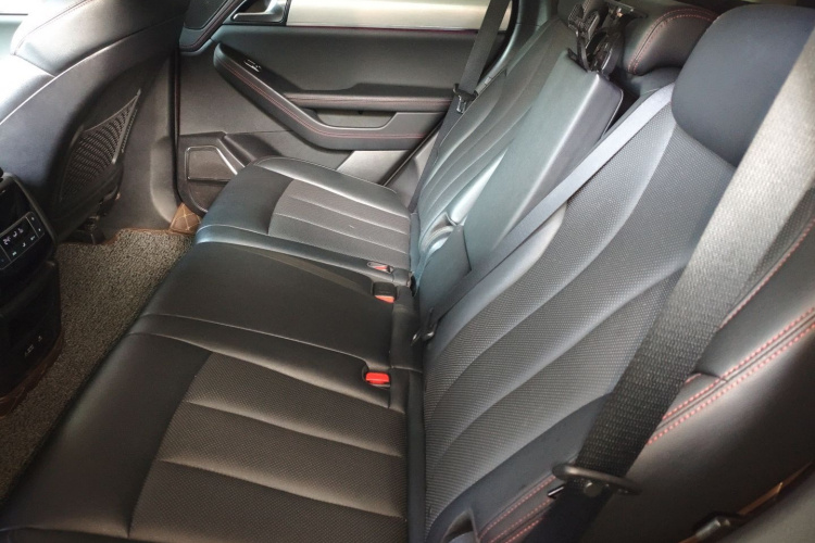 BYD Tang New Energy 2019 car image #13