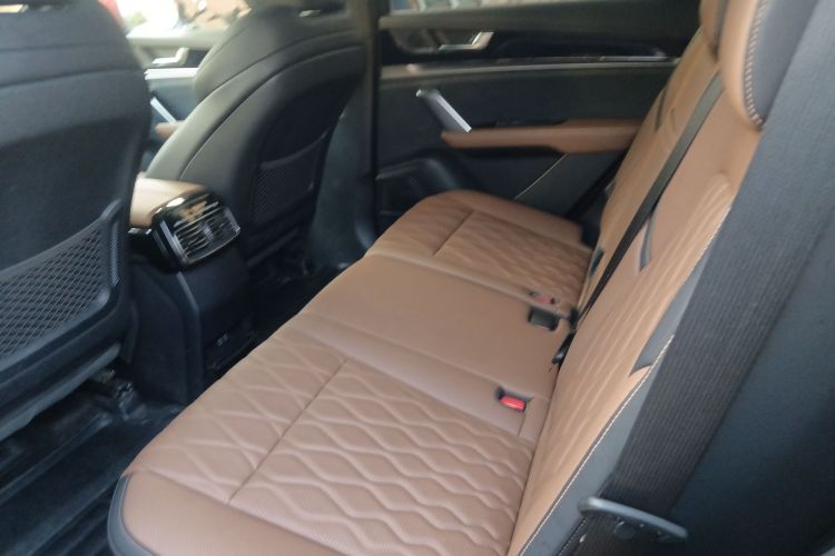 BYD Tang New Energy 2022 car image #13