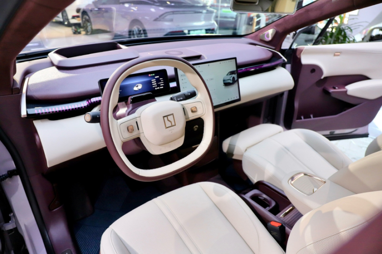 极氪 极氪X 2024 汽车图片 #13