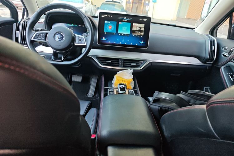 BYD Tang New Energy 2019 car image #13