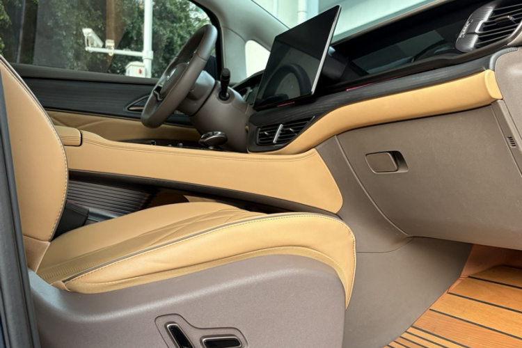 Denza D9 2023 imagen de coche #13