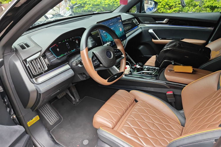 BYD Tang New Energy 2021 car image #13