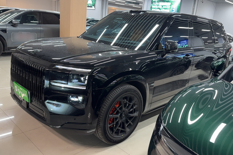 极氪 极氪9X 2025 汽车图片 #13