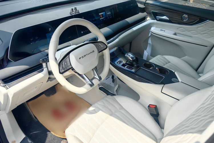 Forthing V9 2024 immagine di auto #13