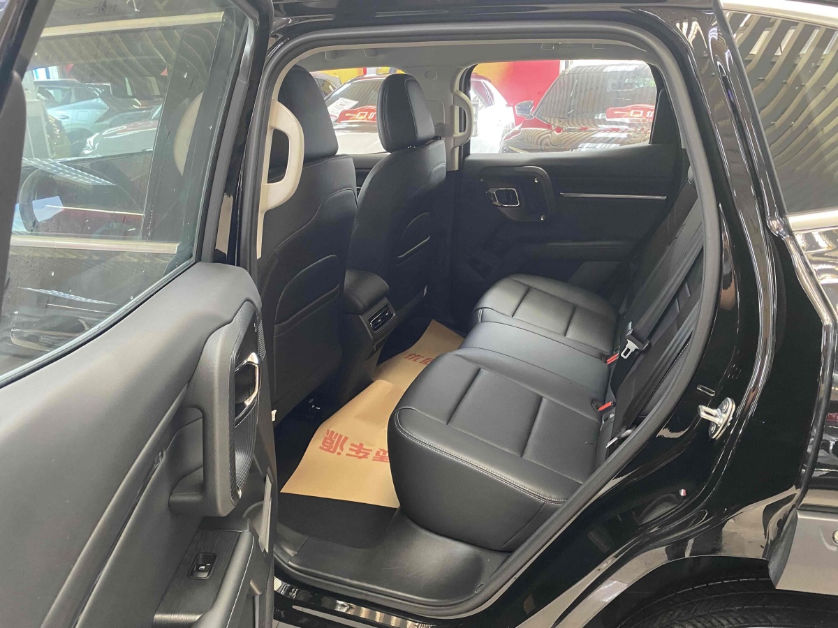 Haval X Dog 2 New Energy 2024 car image #13