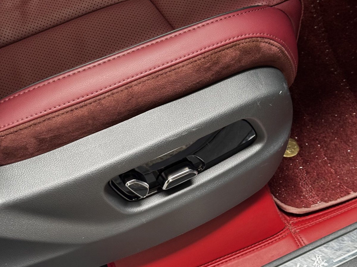 HongQi E-HS9 2021 #13 HongQi E-HS9 2021 immagine di auto #13