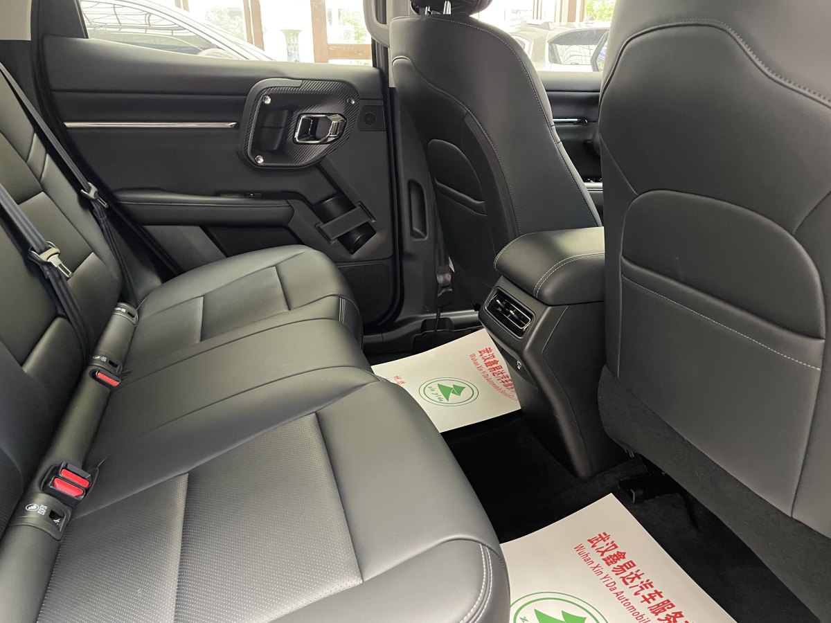 Haval X Dog 2 New Energy 2024 car image #13