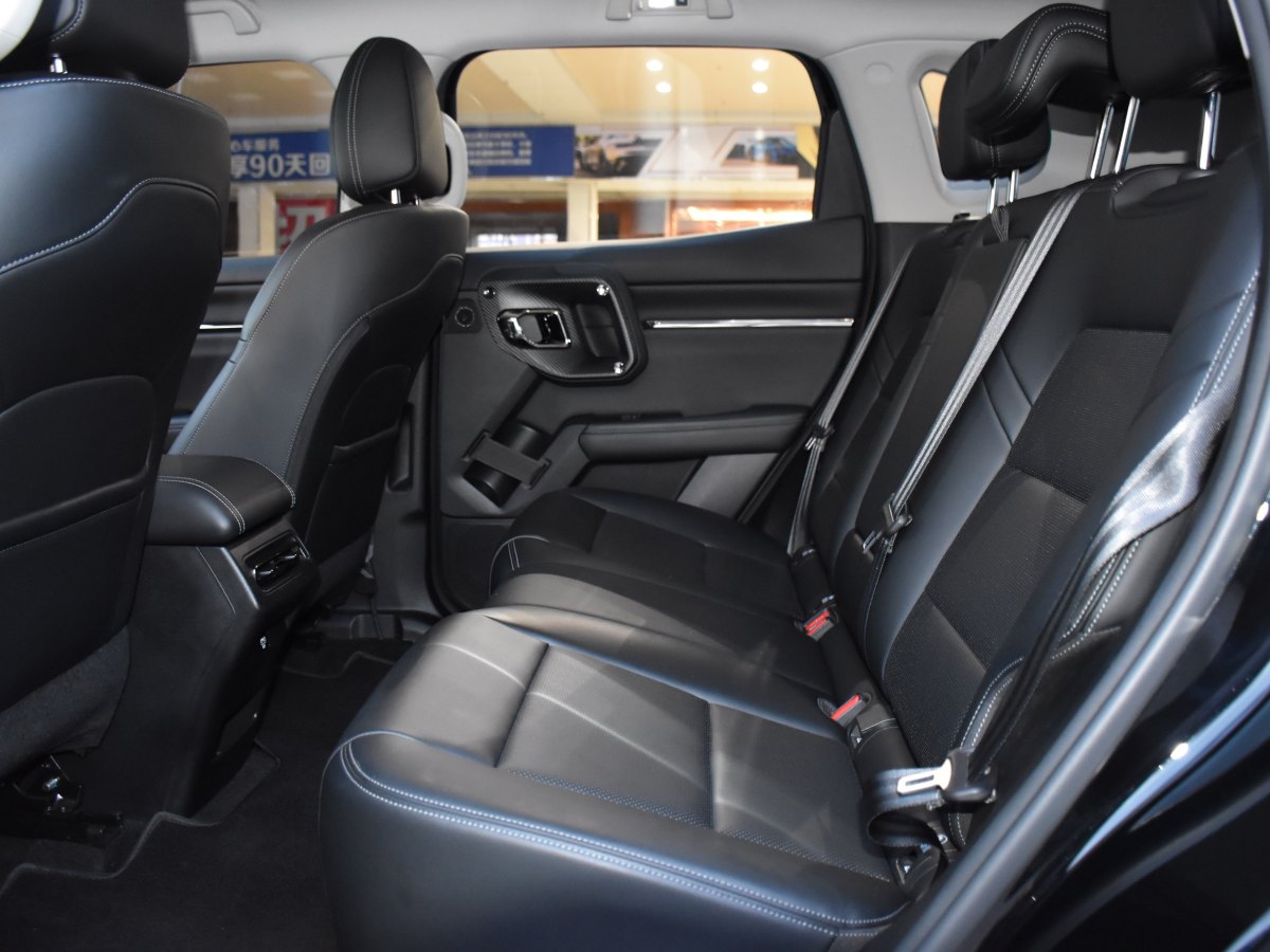 Haval X Dog 2 New Energy 2023 car image #13