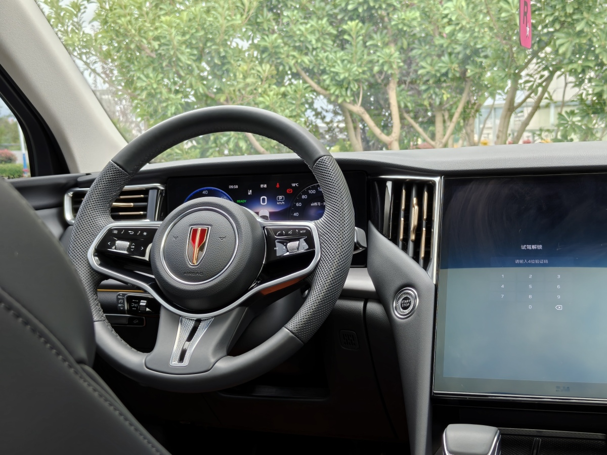 HongQi HS7 PHEV 2024 car image #13