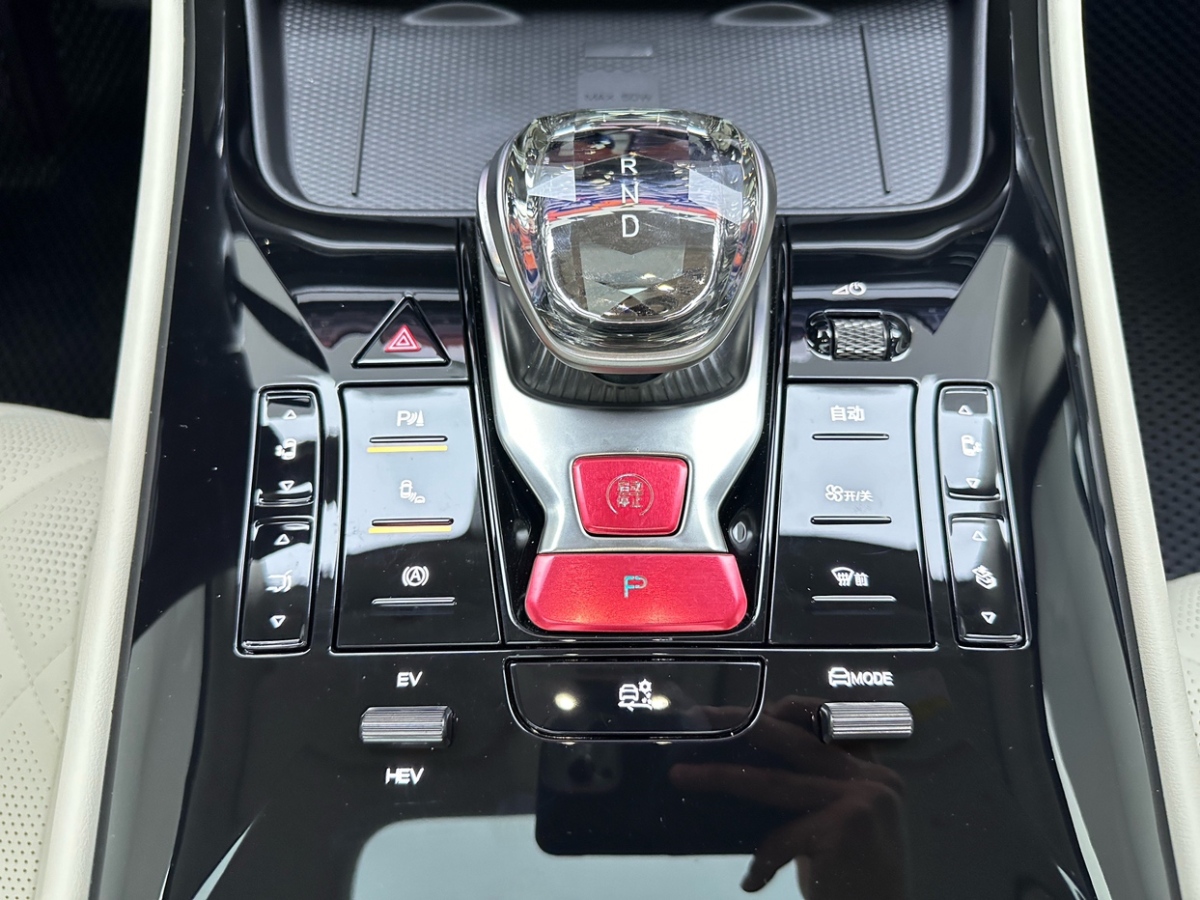 Denza N8L 2024 #13 Denza N8L 2024 car image #13