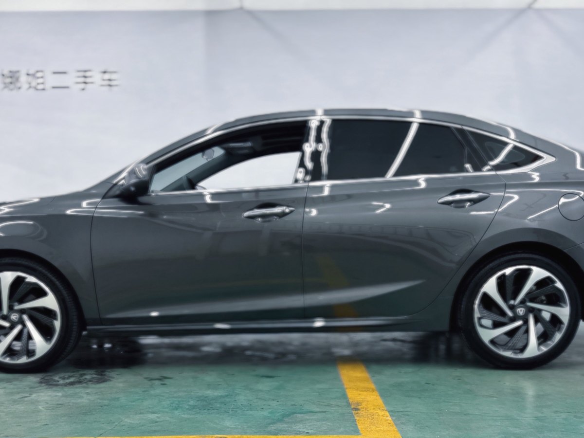 Changan Raeton Plus 2023 car image #13