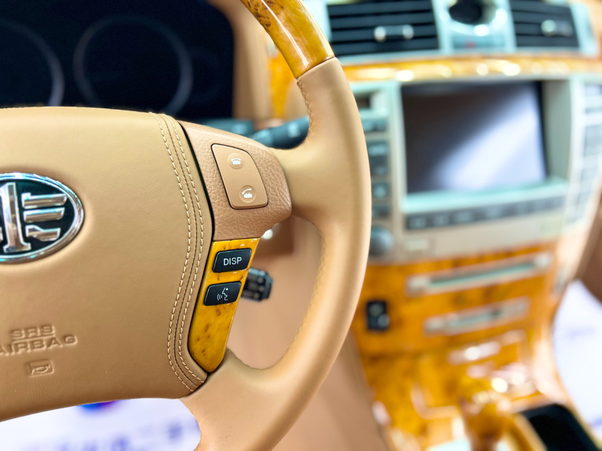 HongQi ShengShi 2008 #13 HongQi ShengShi 2008 car image #13