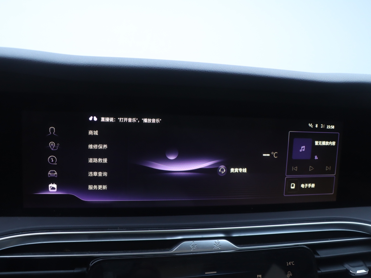 HongQi E-HS9 2023 car image #13