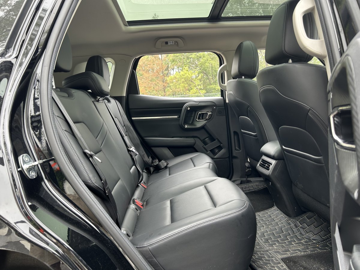 Haval X Dog 2 New Energy 2024 car image #13