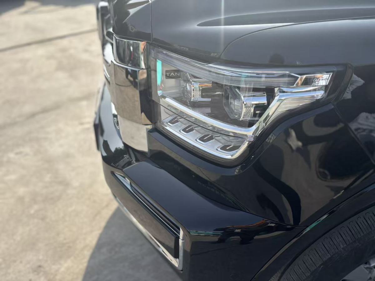 Tank 500 New Energy 2024 car image #13