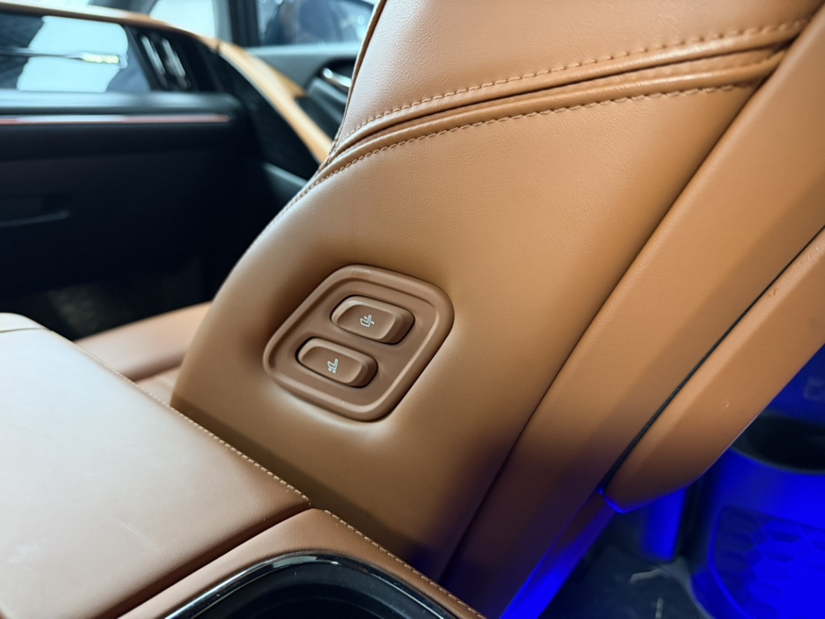 GAC Trumpchi E9 2024 car image #13