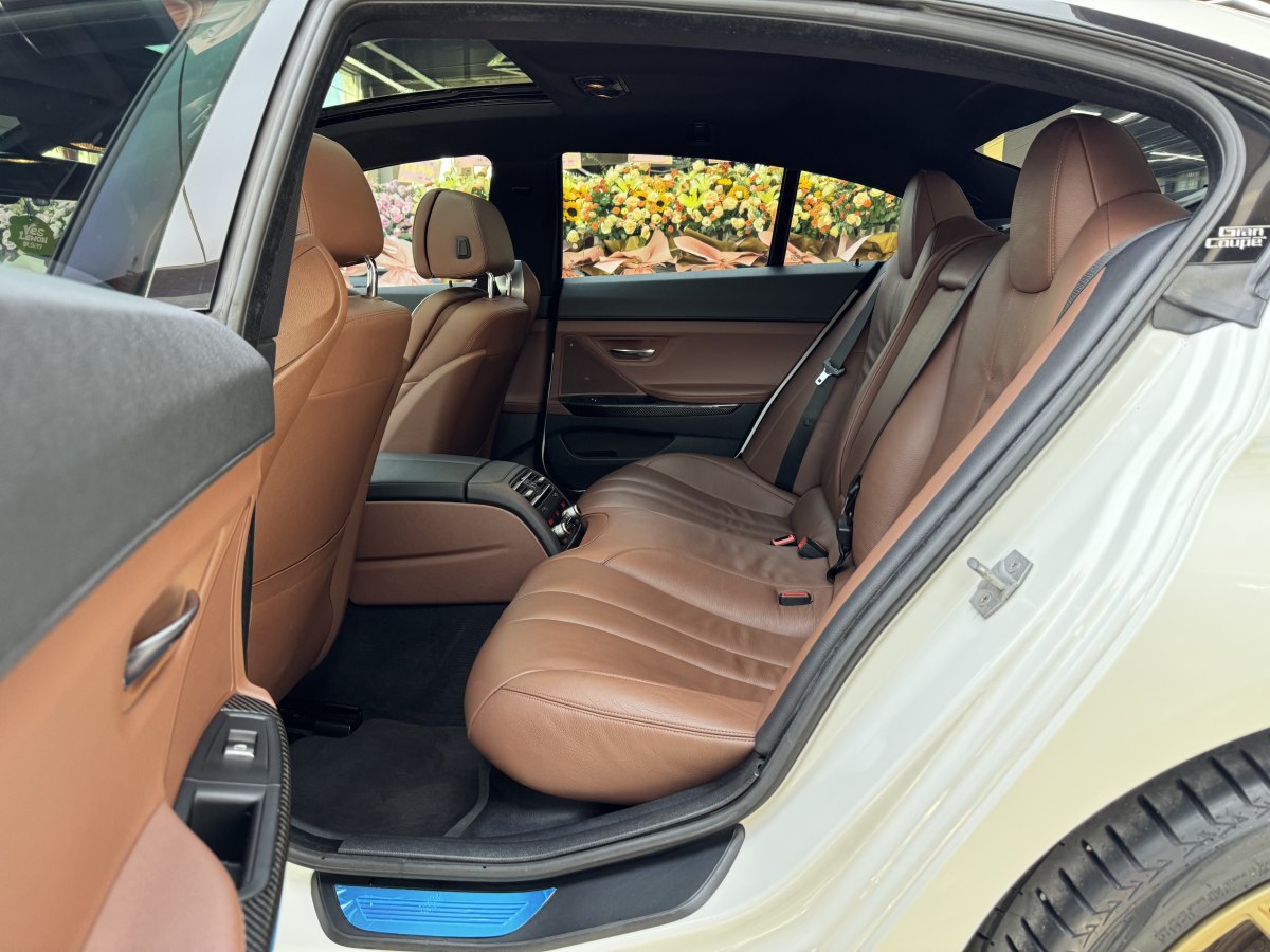 BMW 6 Series 2016 car image #13