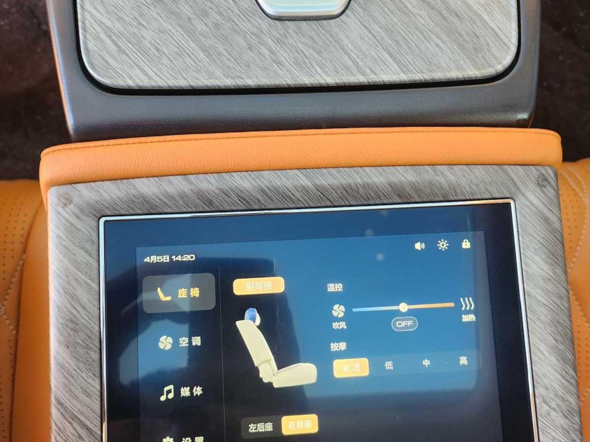 Tank 500 2023 car image #13