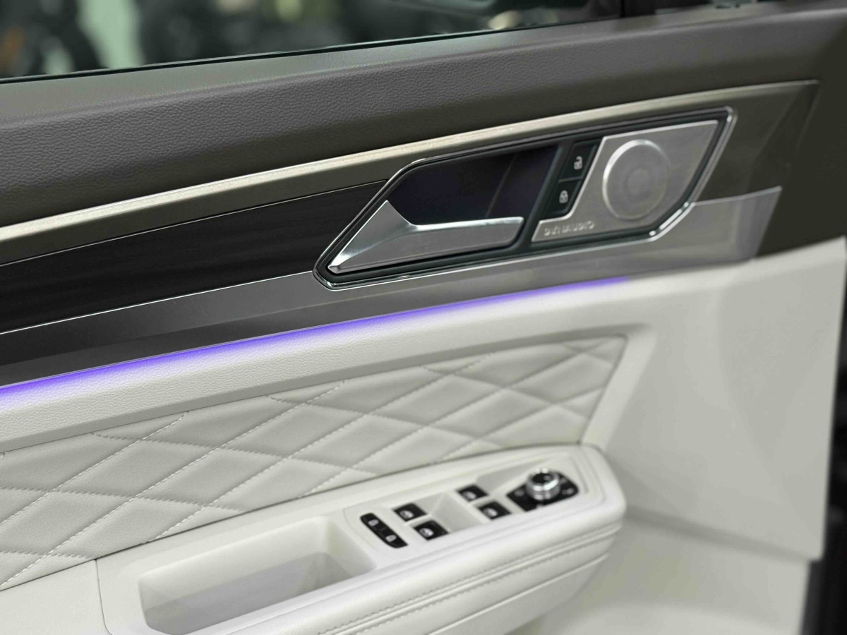 Volkswagen Viloran 2020 car image #13