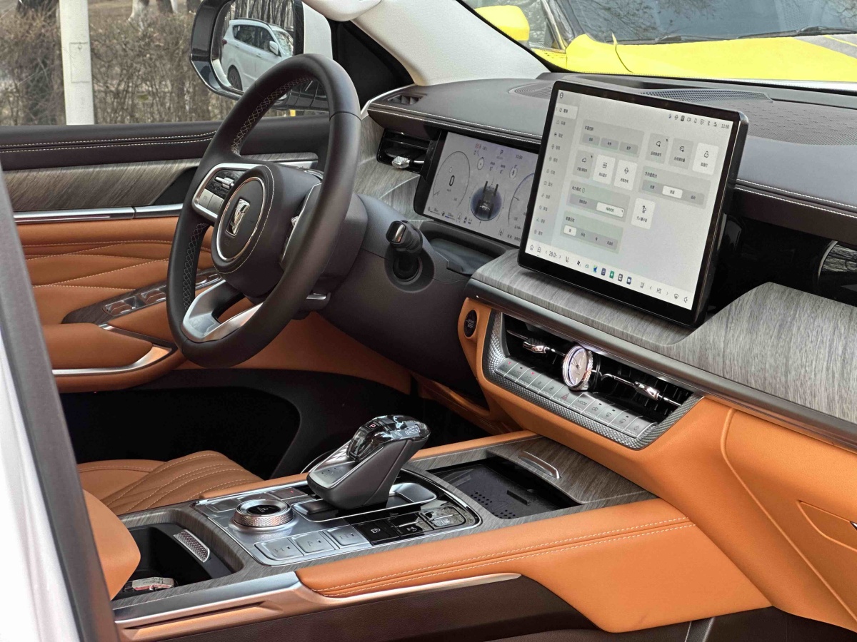 Tank 500 New Energy 2024 car image #13