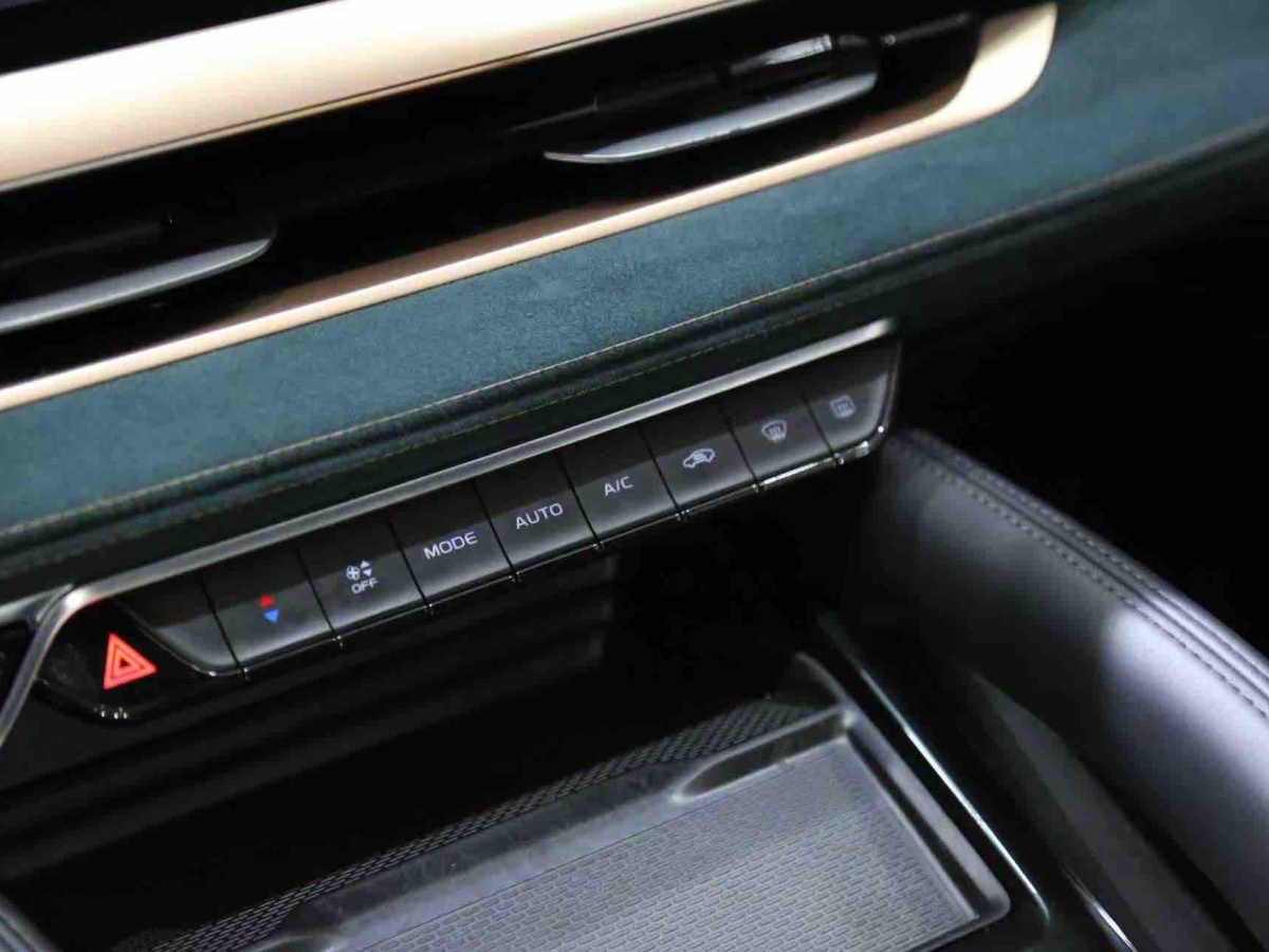 GEELY Tugella 2022 #13 GEELY Tugella 2022 car image #13