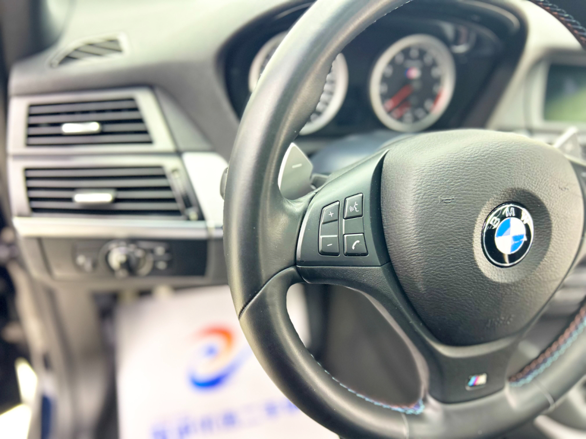 BMW X5 M 2010 car image #13