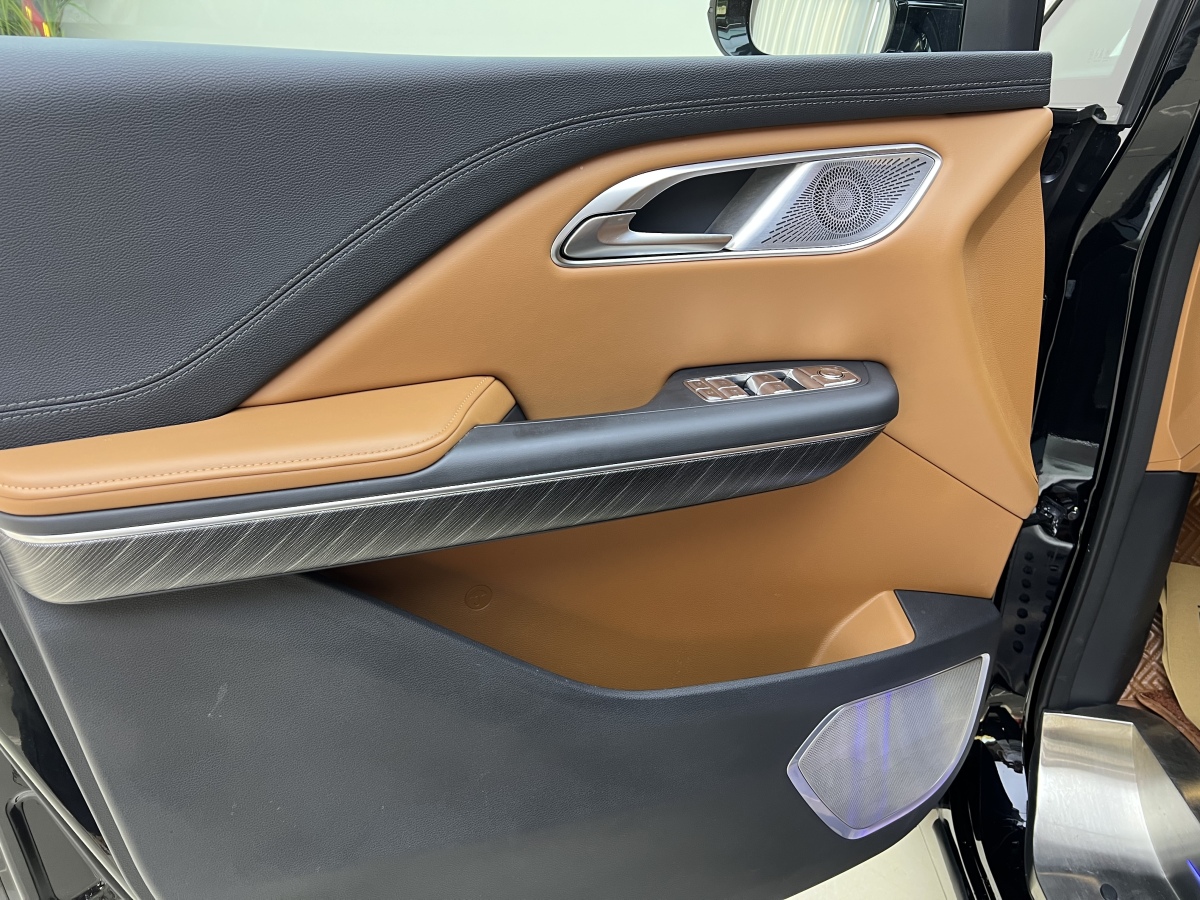 HongQi HQ9 2023 #13 HongQi HQ9 2023 car image #13