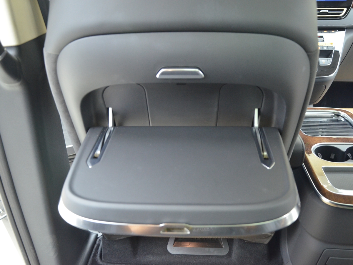 HongQi HQ9 2023 car image #13