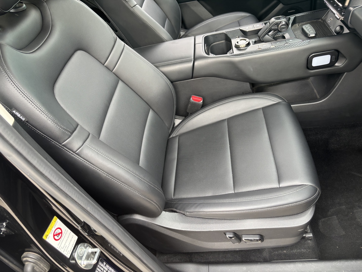 Haval Raptor 2023 car image #13