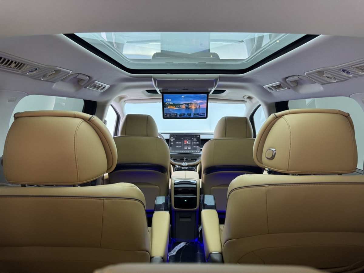 Denza N8L 2023 imagem de carro #13