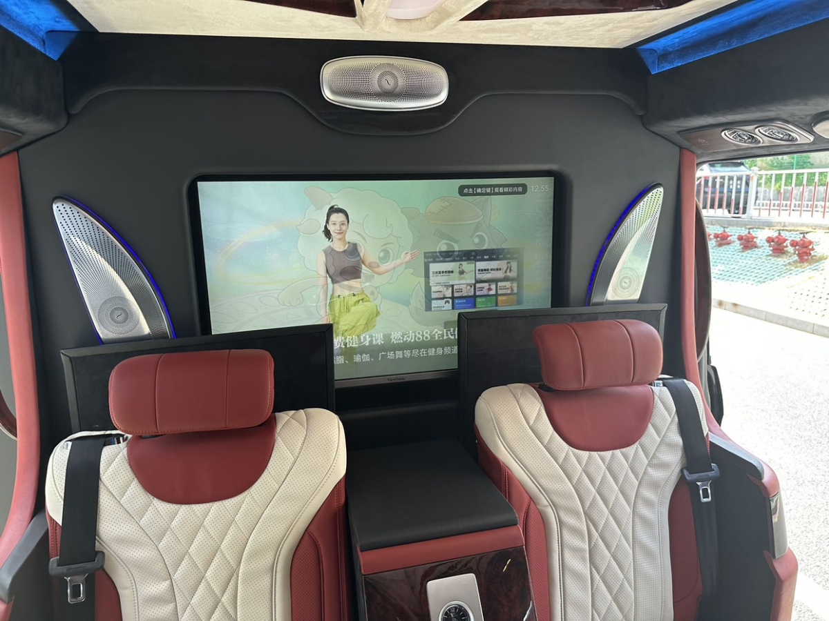 Mercedes-Benz V Class 2019 car image #13