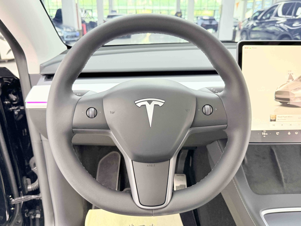 Tesla Model Y 2023 #13 Tesla Model Y 2023 car image #13