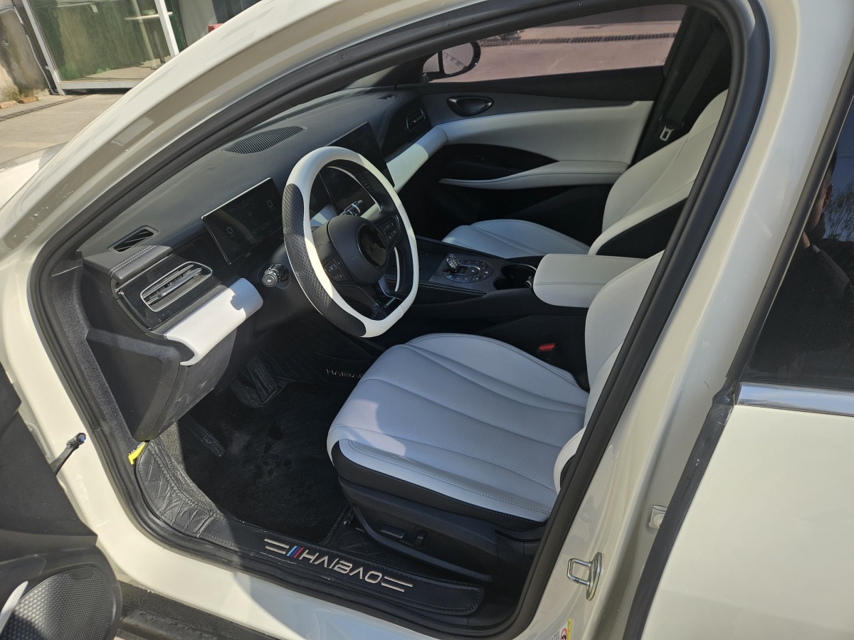 BYD Seal 06 New Energy 2024 #13 BYD Seal 06 New Energy 2024 car image #13